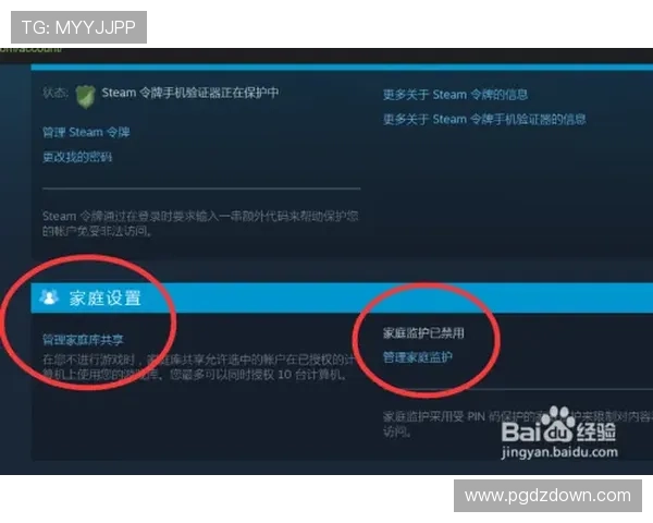PG娱乐手机版下载详细教程指南，帮助新手快速上手享受娱乐盛宴
