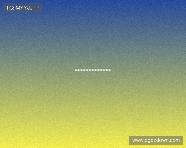 新西兰和埃及球队备战情况及比赛状态最新动态分析 新西兰和埃及球队备战情况及比赛状态最新动态分析